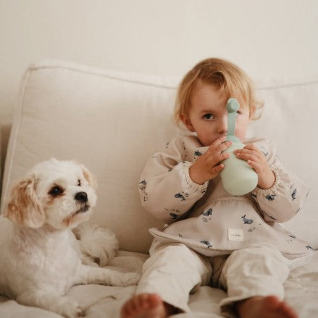 PACK 2 BOTELLAS SILICONA PARA PURÉ MUSHIE CAMBRASS