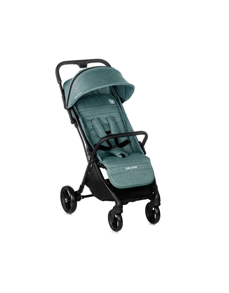 Silla de paseo Quick Fold